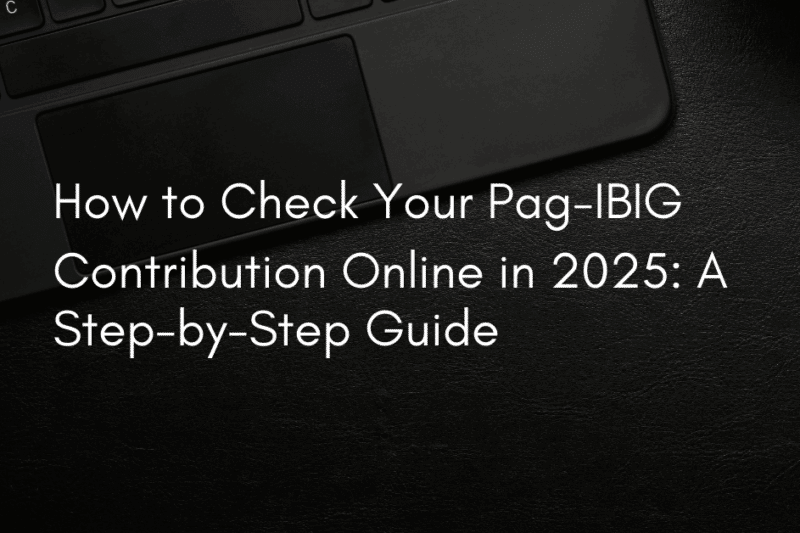 How to Check Your Pag-IBIG Contribution Online in 2025: A Step-by-Step Guide