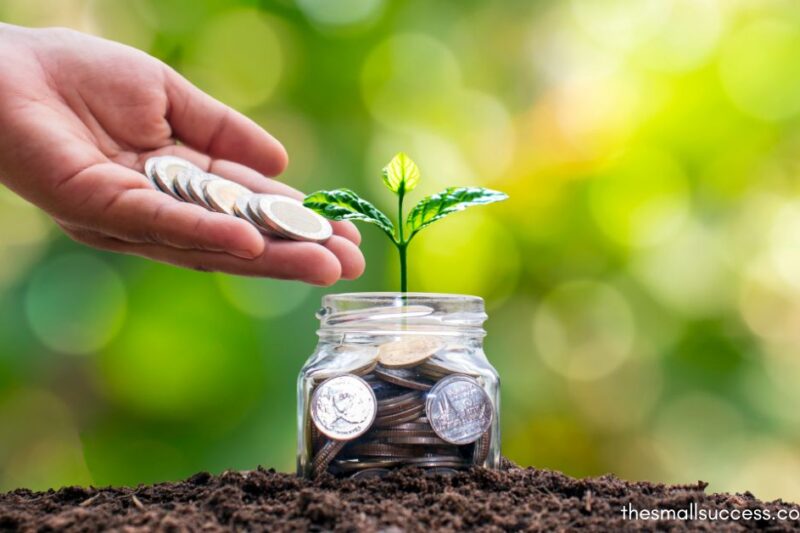 Smart Investing for Beginners: How to Start With Just $100 in the Stock Market