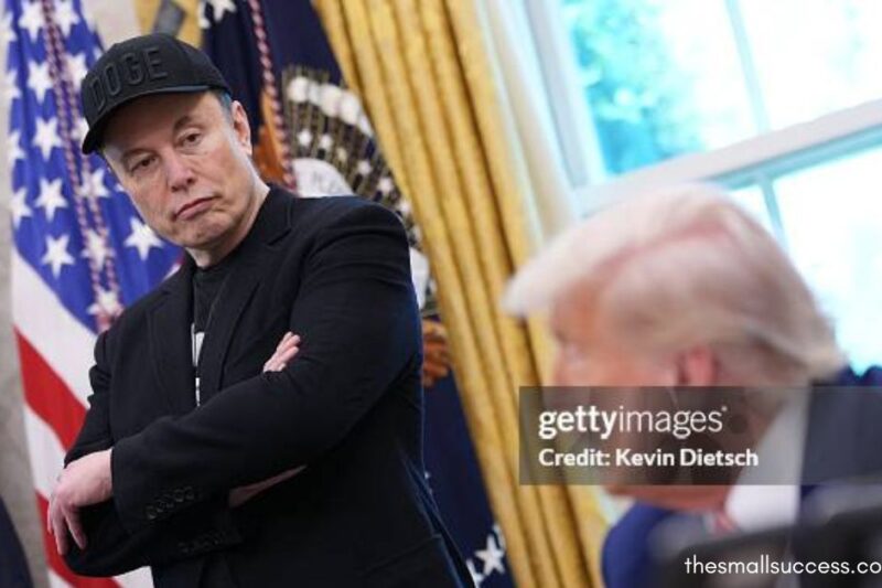 Elon Musk and Donald Trump Trade Barbs, Fueling Their Own Digital Echo Chambers