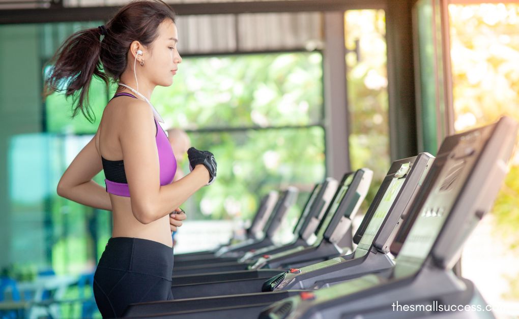 Best Gym Machines to Burn Belly Fat (With Science & Videos)